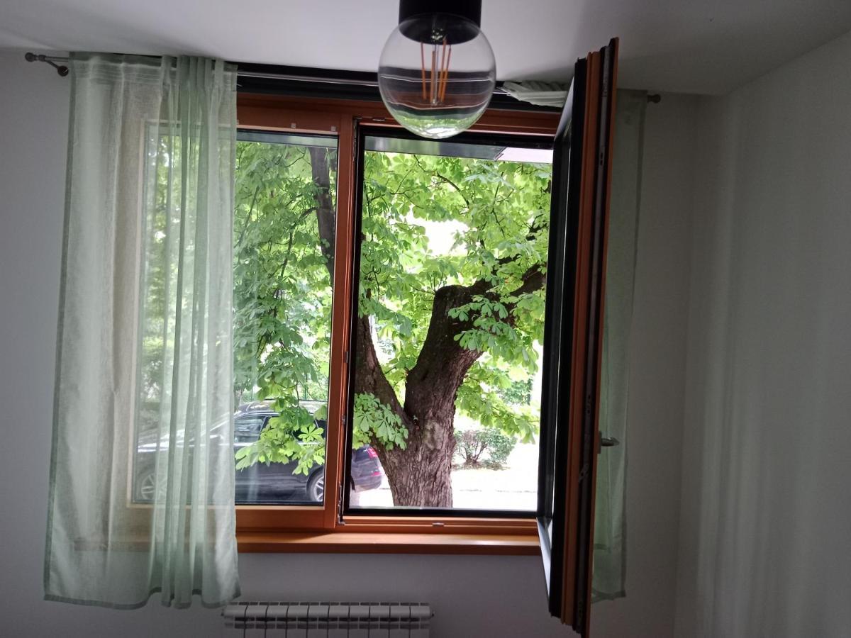 Sava Apartment ノヴィ・サド エクステリア 写真